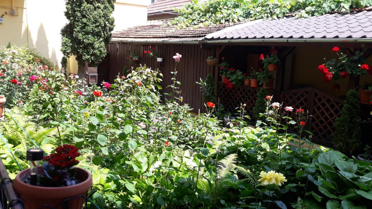 Villa Casa Ioana Braşov Exterior foto