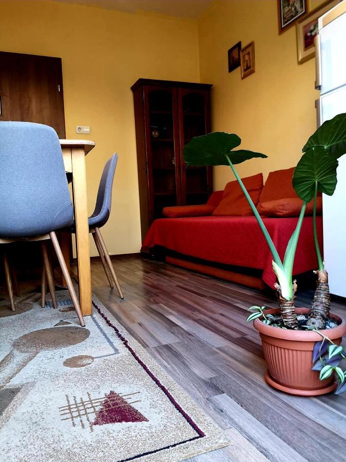 Villa Casa Ioana Braşov Habitación foto